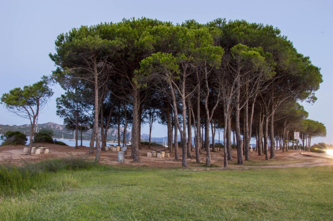 La Costa View Arzachena